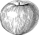 apple apple