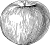 apple apple